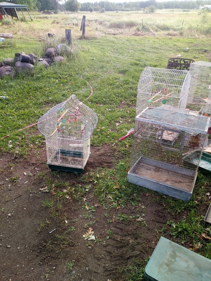 Various-sized Bird Cages