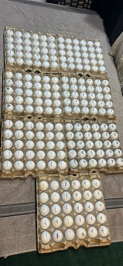 Value Golf Balls