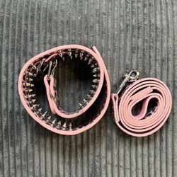 New Dog Collar Large