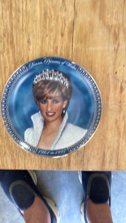Princess of Wales plate