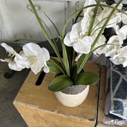Vase And Jewelry Holder Free