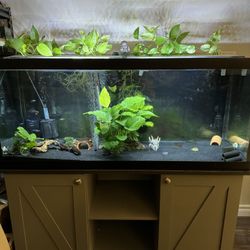 75 Gallon Aquarium With Stand, Fluval Fx4 Filter, Accessories