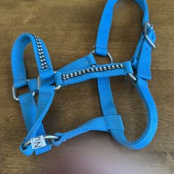 Mini Halter 