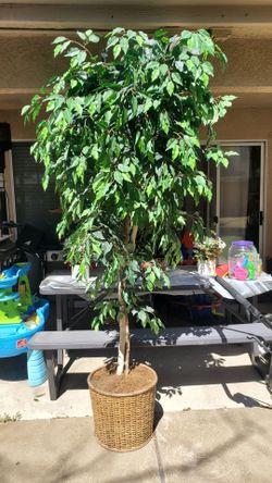 Very nice artificial tree