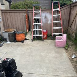 6ft Weber Step Ladder