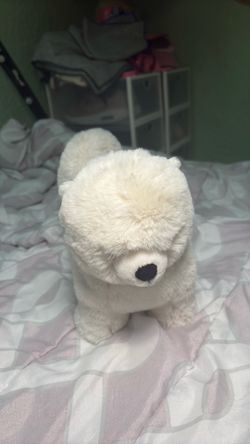 Dog plush jelly cat