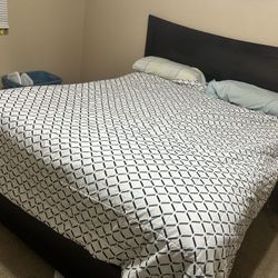 Free Must Be Picked Up Today 