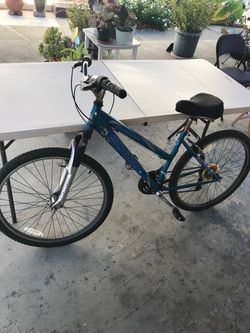 Schwinn Mountain Bike Blue