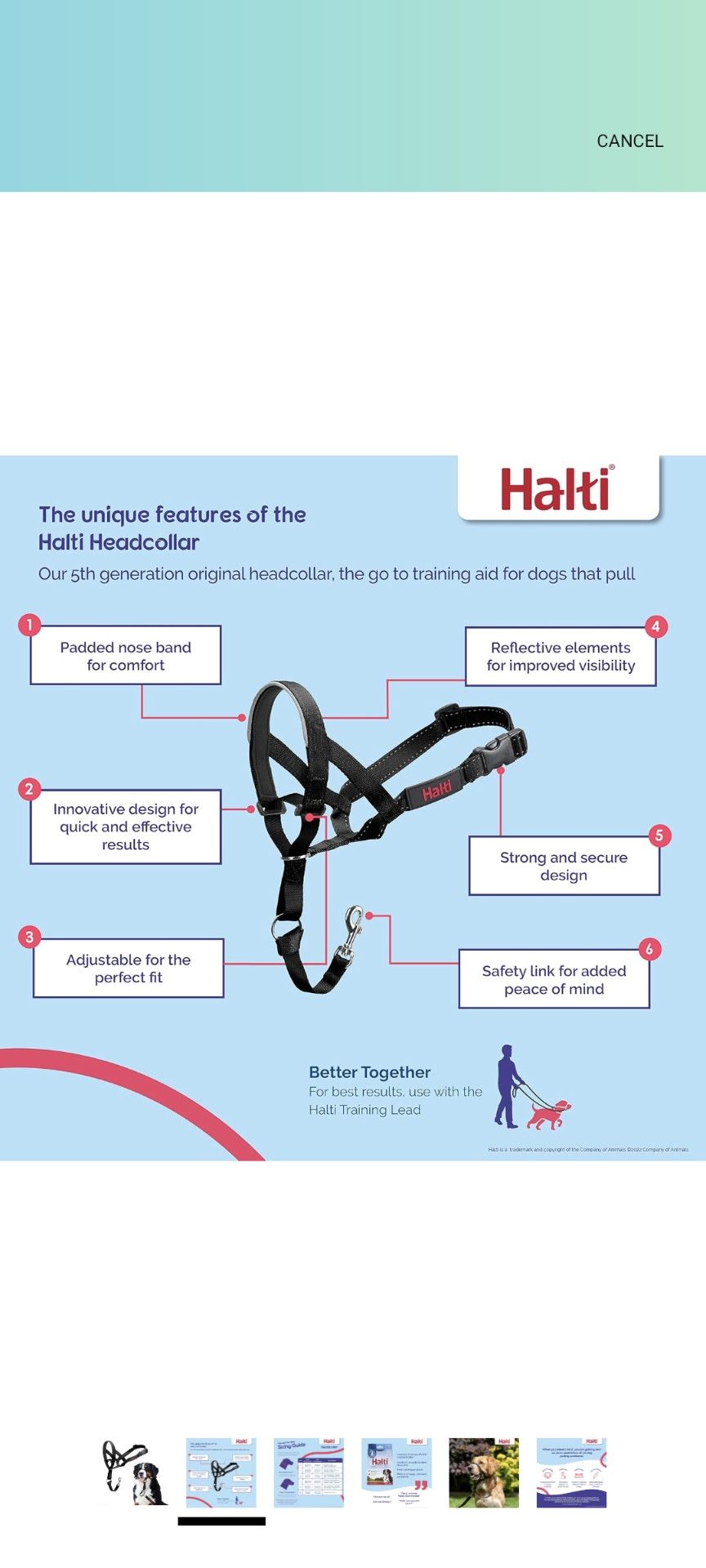 Haiti Easy Leader
