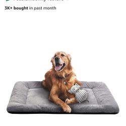 Dog Bed In Box New 