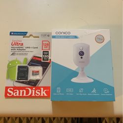 Wireless IP Camera 
