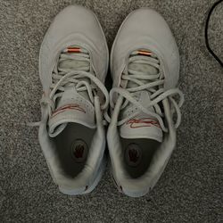 nike lebron 21 akoya 