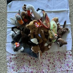 Vintage Beanie Babies Haul w/ Tag Errors (1990s)
