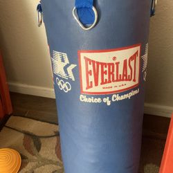 Everlast Punching Bag