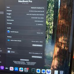 Gold Or Silver MacBook Pro 16inch 1 TB 32gbs Ram I9 Processor 