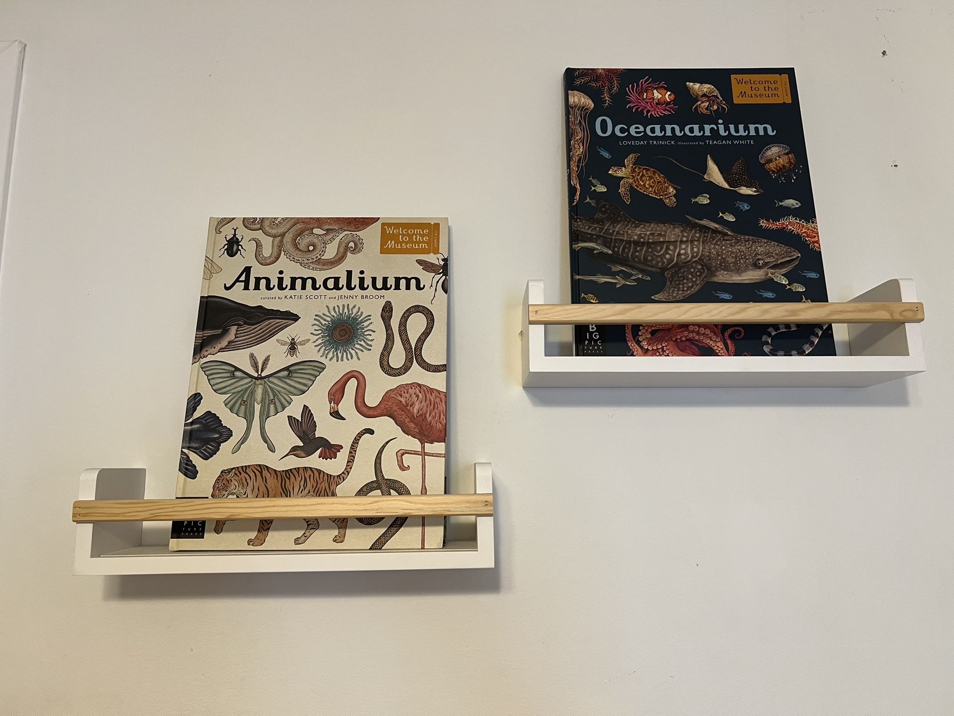 2 Hanging Shelves