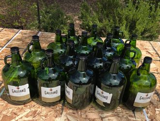 Wine Jugs, 1gal (4-Liter)