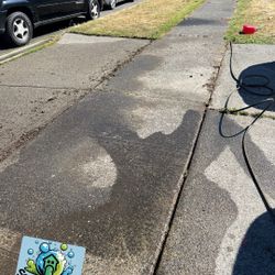 Driveway Cleaning 