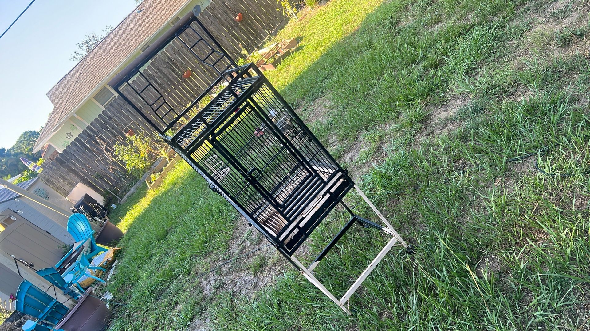Bird Cage