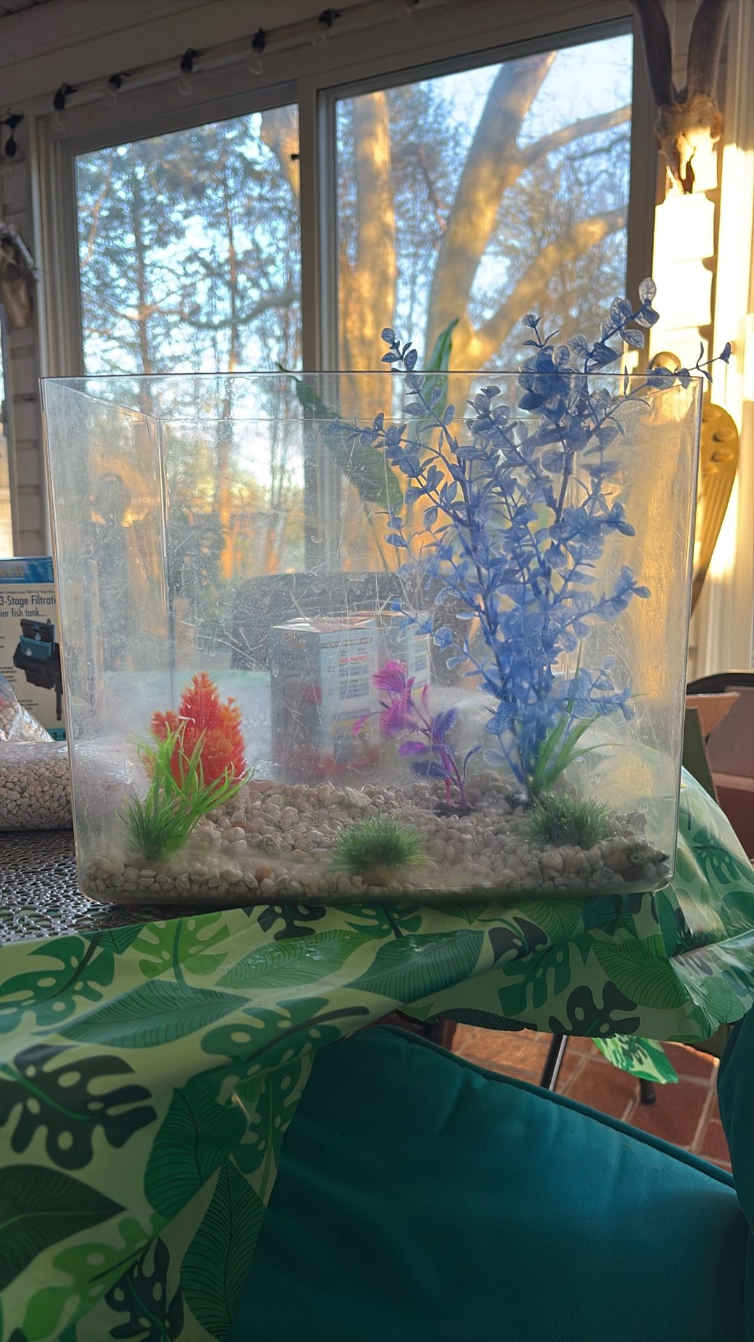 Aquarium and Extra Plant Decor