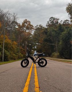 alvopro ebike