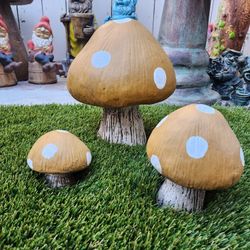 Mushrooms For Sale