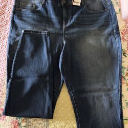 Torrid Bombshell Jeans Sz 24T New With Tags 