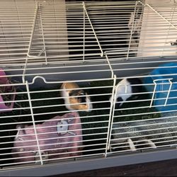Large Cage 