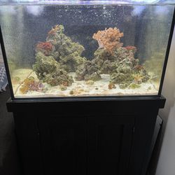 65g Fish Tank