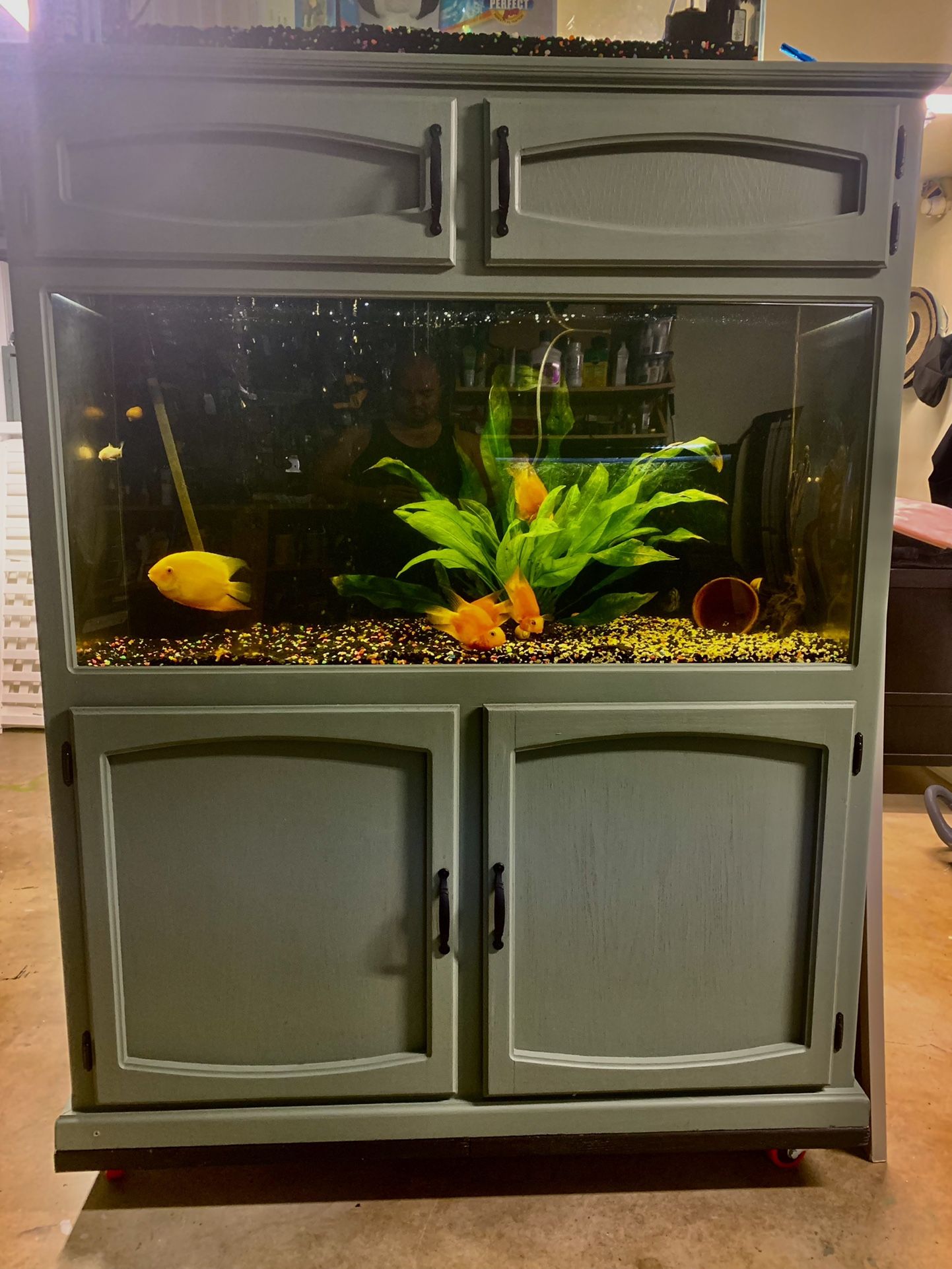 110 gallons Acrylic Fish Tank 