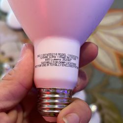 2 Sets Of 12 Ecosmart 65w Replacement LED Floodlight