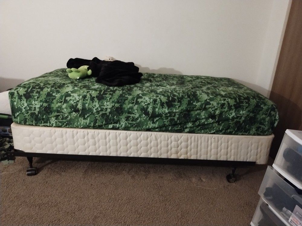 Sealy Posturepedic Green Hurst Plush Twin Mattress And Box Springs Everything