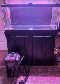 40 gallon Fish tank with extras