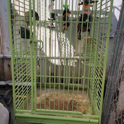 Bird Cage