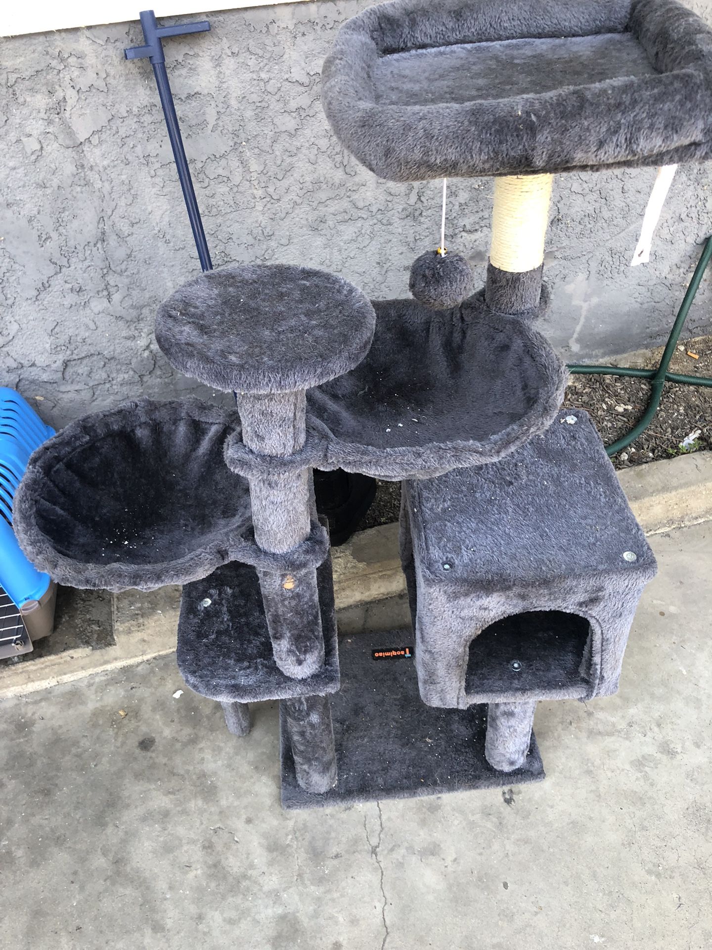 Cat House