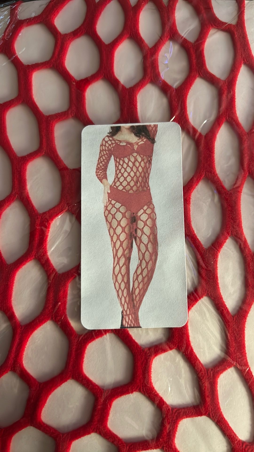 Red fishnet sexy bodysuit