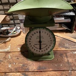 American Family Scale 1906 Modl