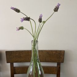 Fresh Lavender $3 Per 6 Stems