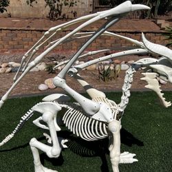 Dragon Skeleton 