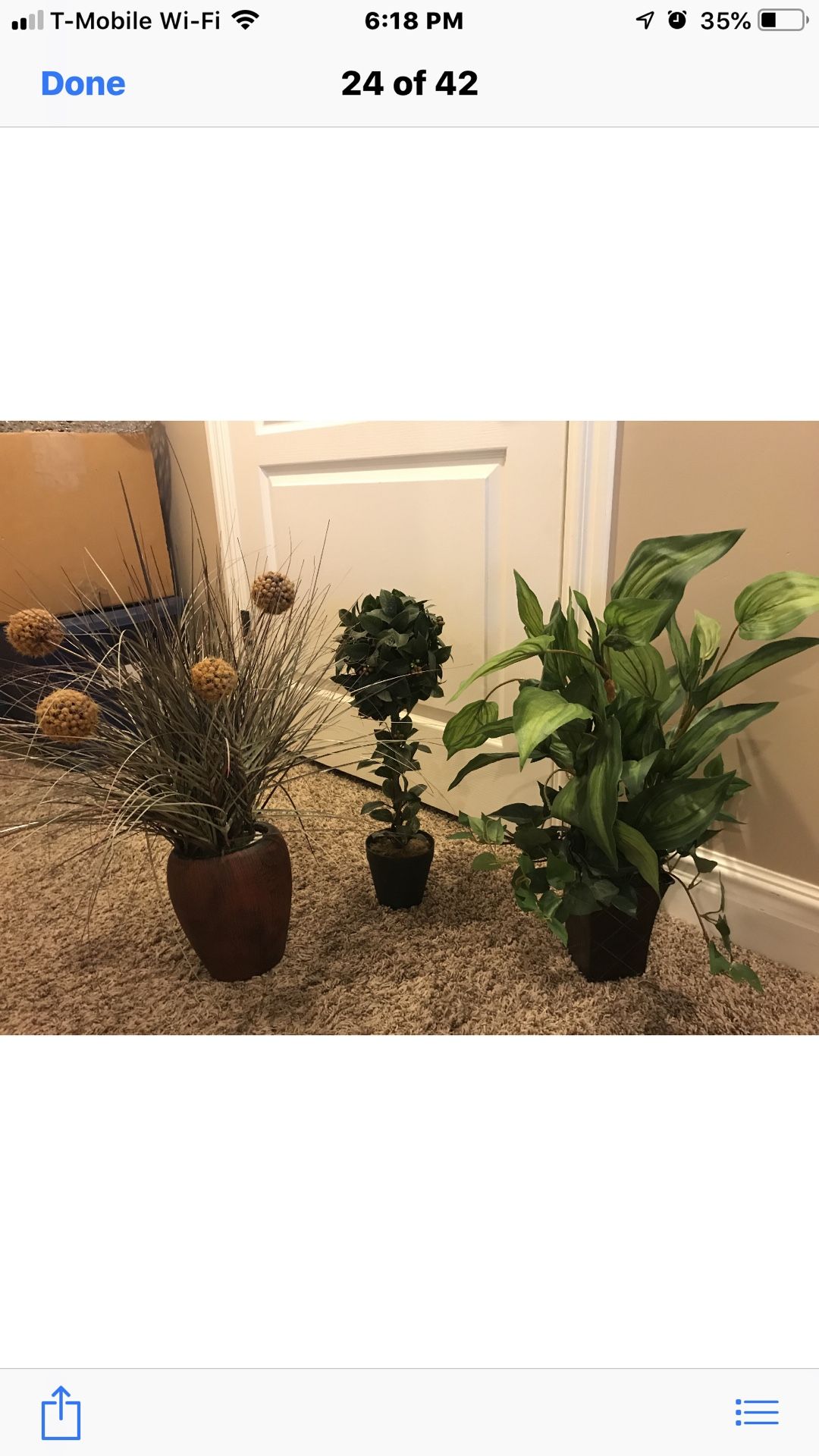 Several greenery plants in pots home decor