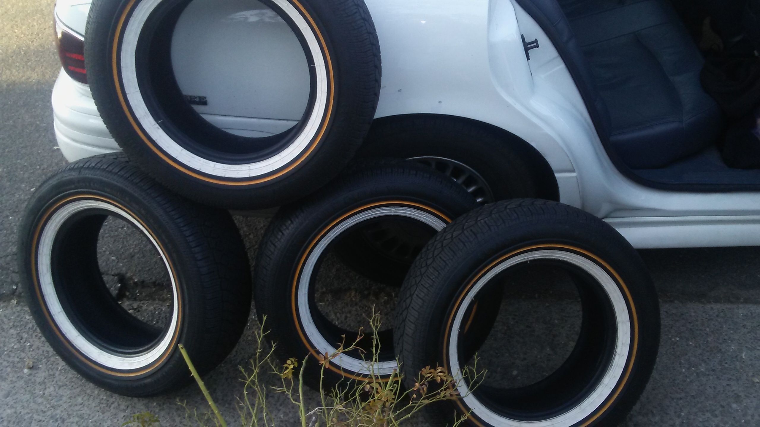 Trues & Vogue Tires 4