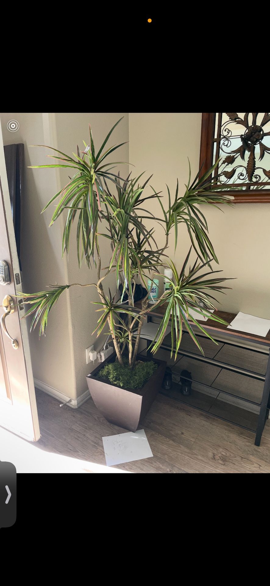 Fake Plant
