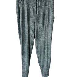 AnyBody Women's Pull-on Regular Plush Rib Pants Solid Frost Green Large See Pics   Comes from a pet and smoke free household.  Measurements are in the