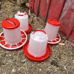 Chicken feeders