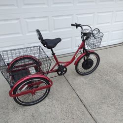 Electric Powered Trike
