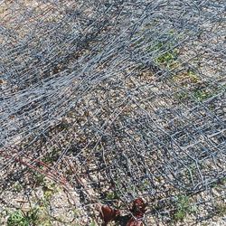FREE livestock Fence Wire