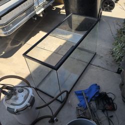 Fish Tank Set Up