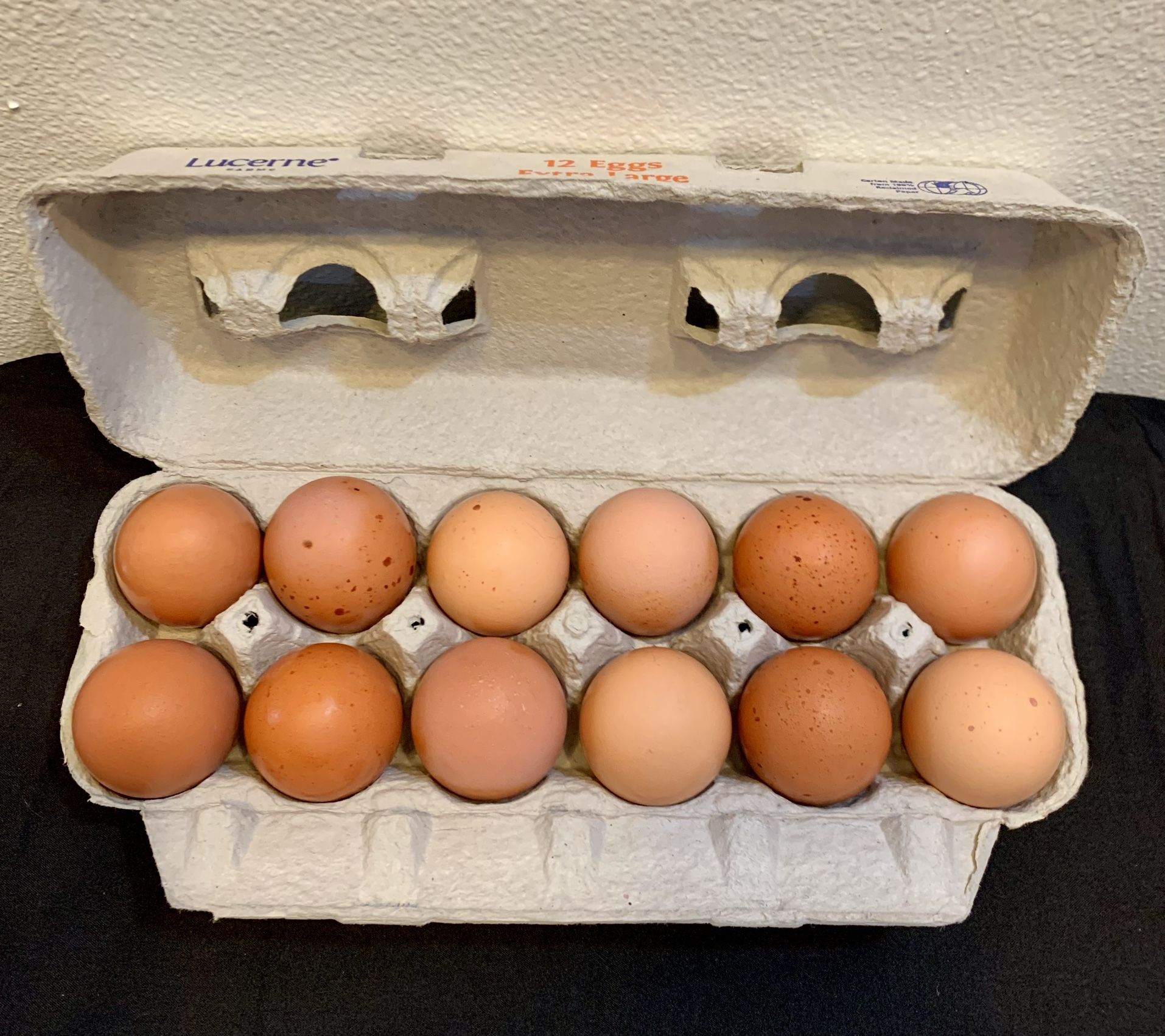 $5 Farm Fresh Free Range Eggs
