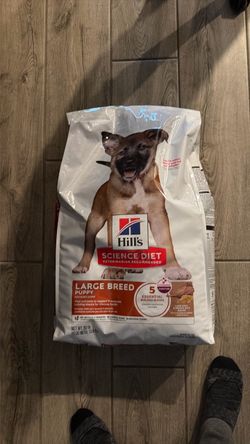 Dog food