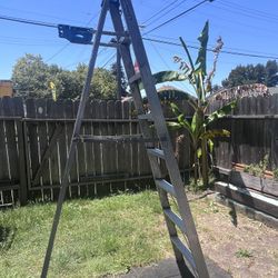 8 Ft Ladder 